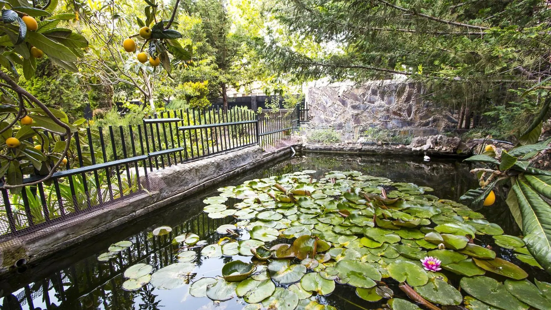 Nature, Pool, Tennis, Aircon Only 15 Minutes To Barcelona! Sabadell Villa